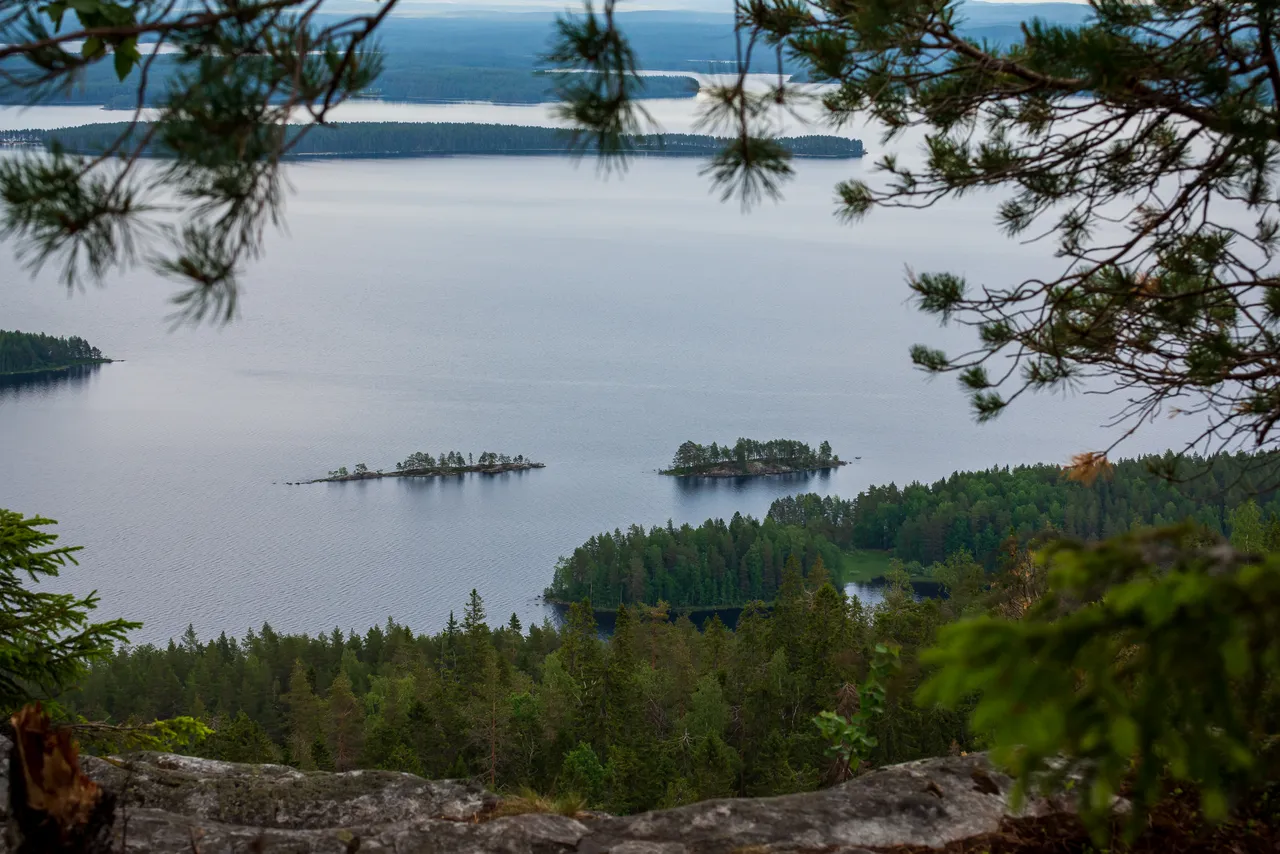 koli4.jpg