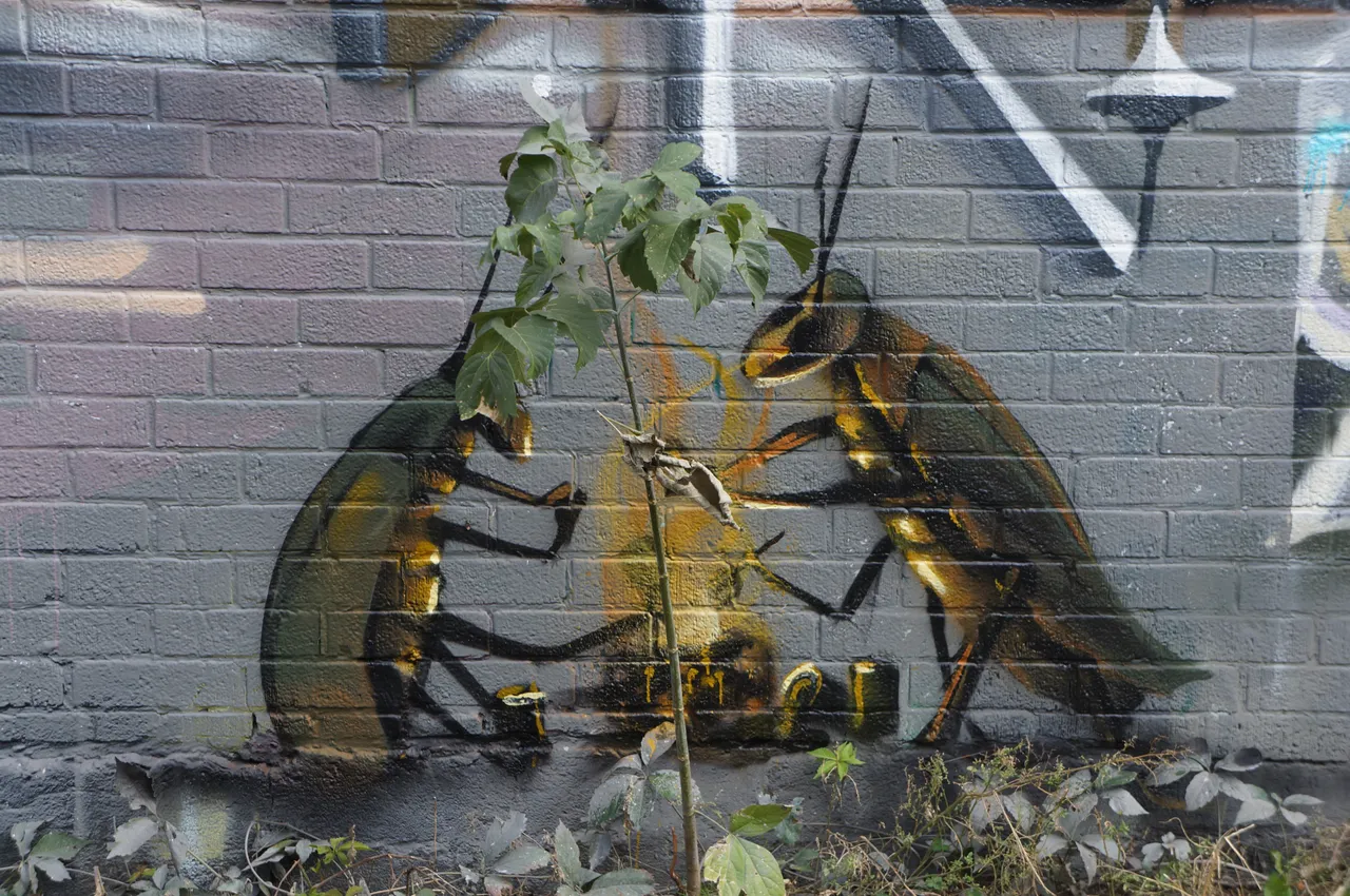 DSC08458.JPG