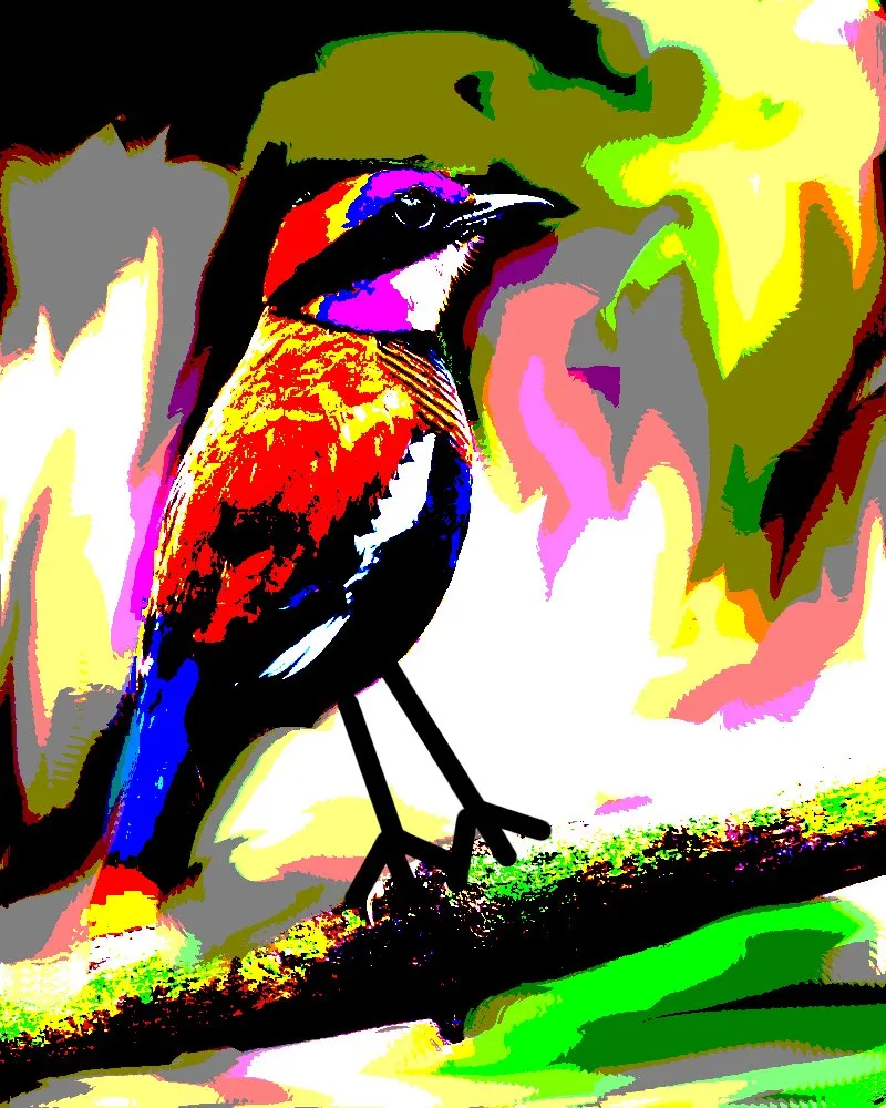 pitta.jpeg