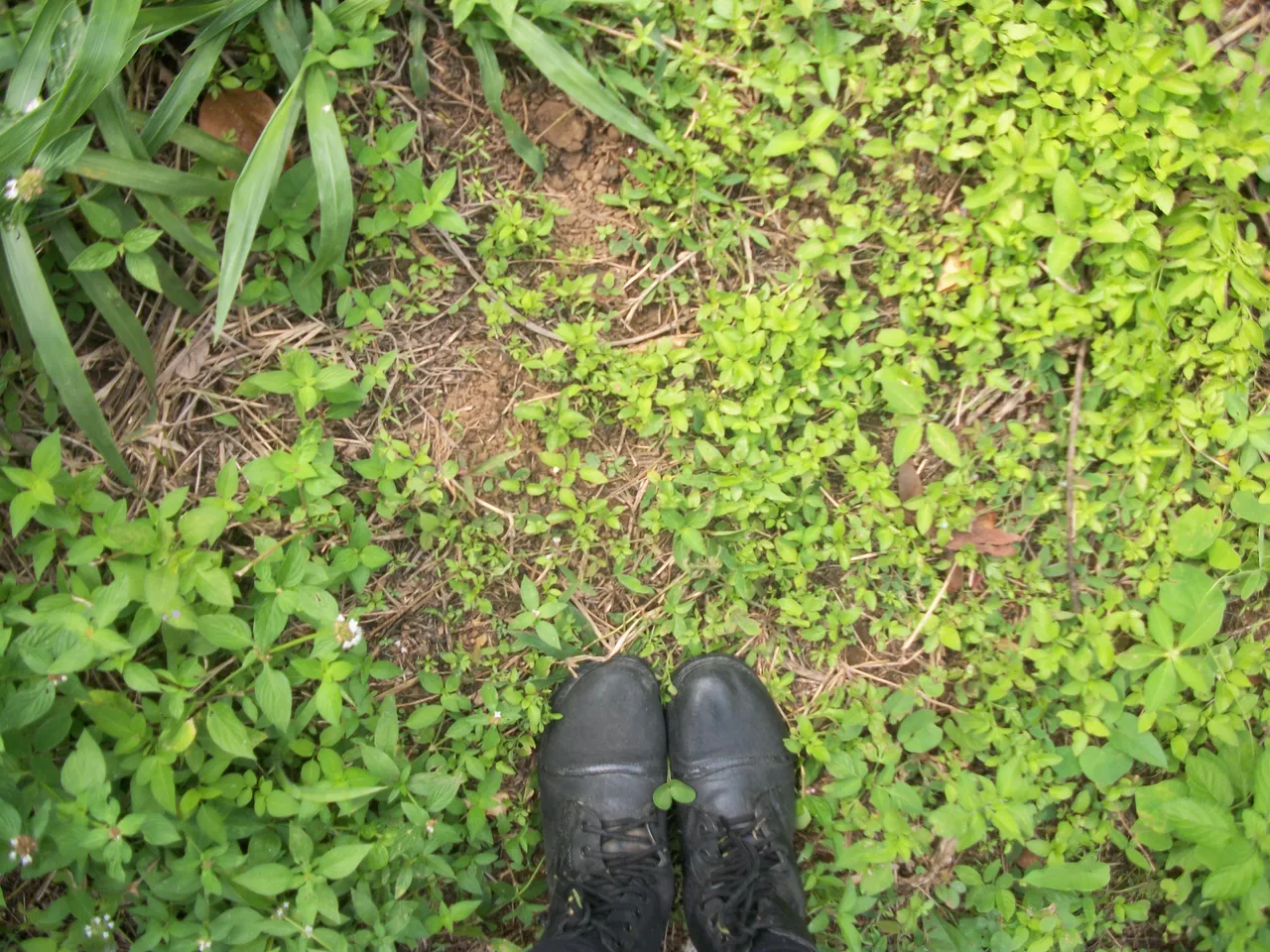100_2079.JPG