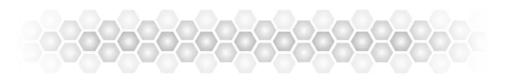 hive_divider.jpg