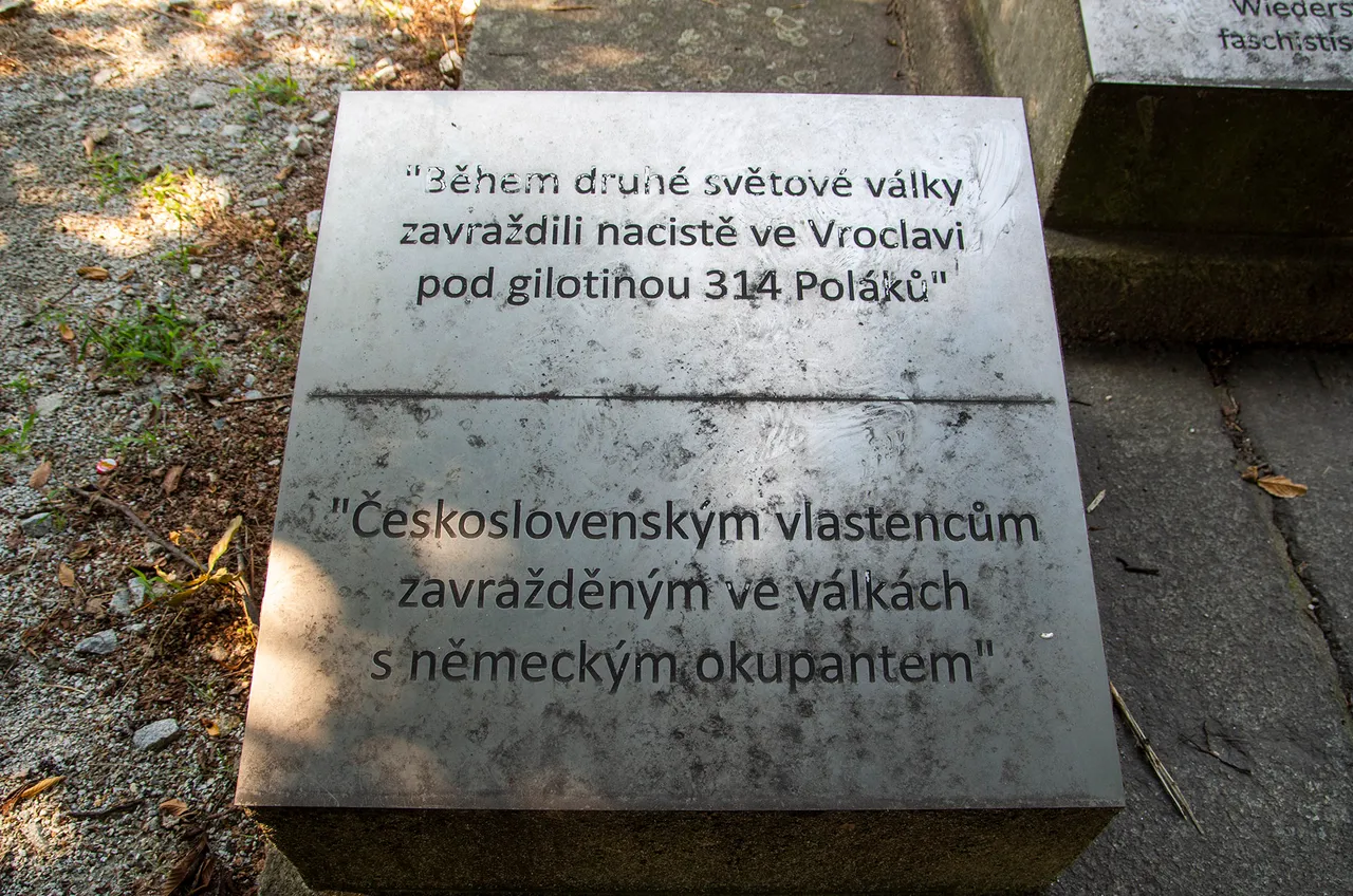 IMGP5138c.jpg