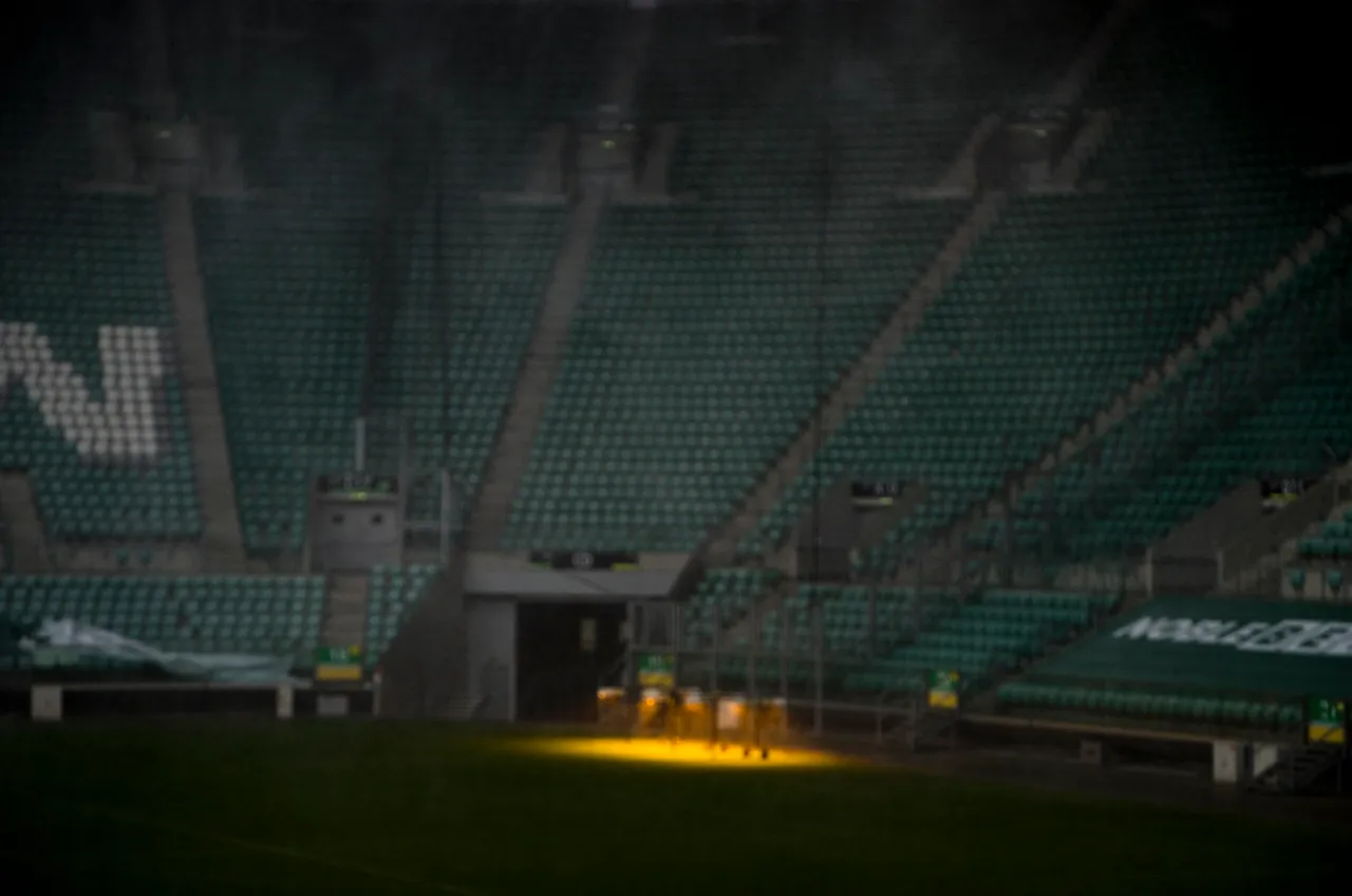 IMGP2408c.jpg