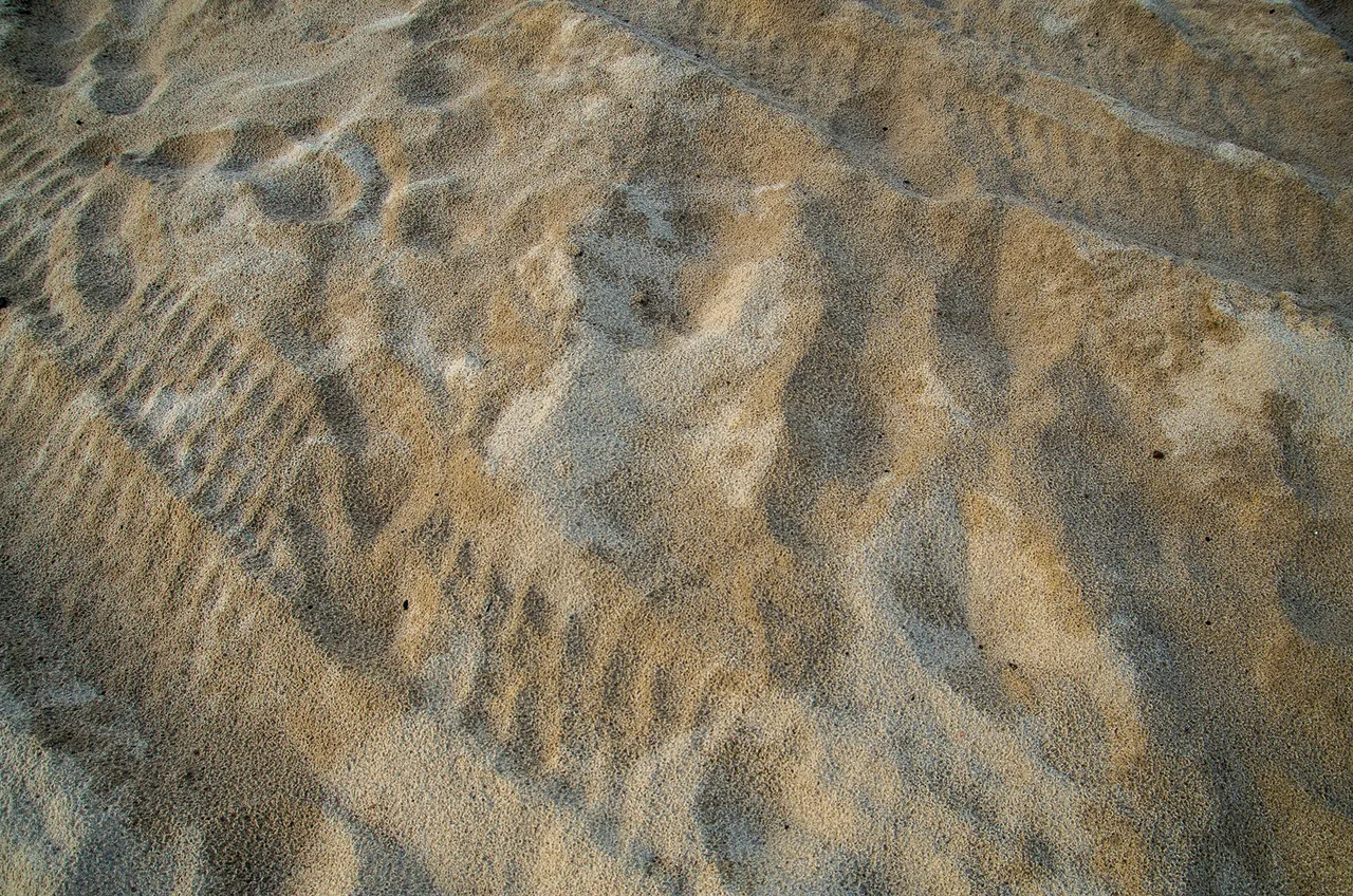 IMGP4591c.jpg