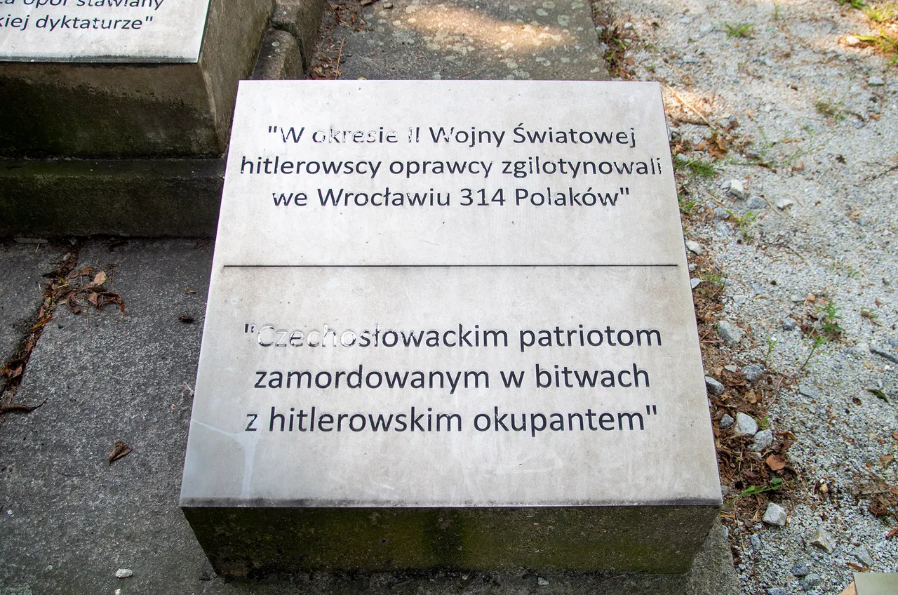 IMGP5139c.jpg