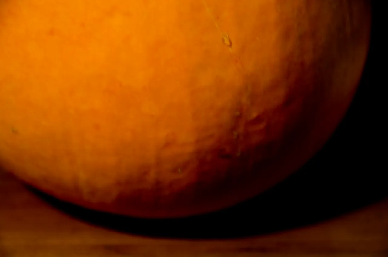 IMGP2224c.jpg