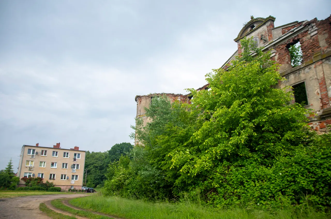 IMGP3775c.jpg