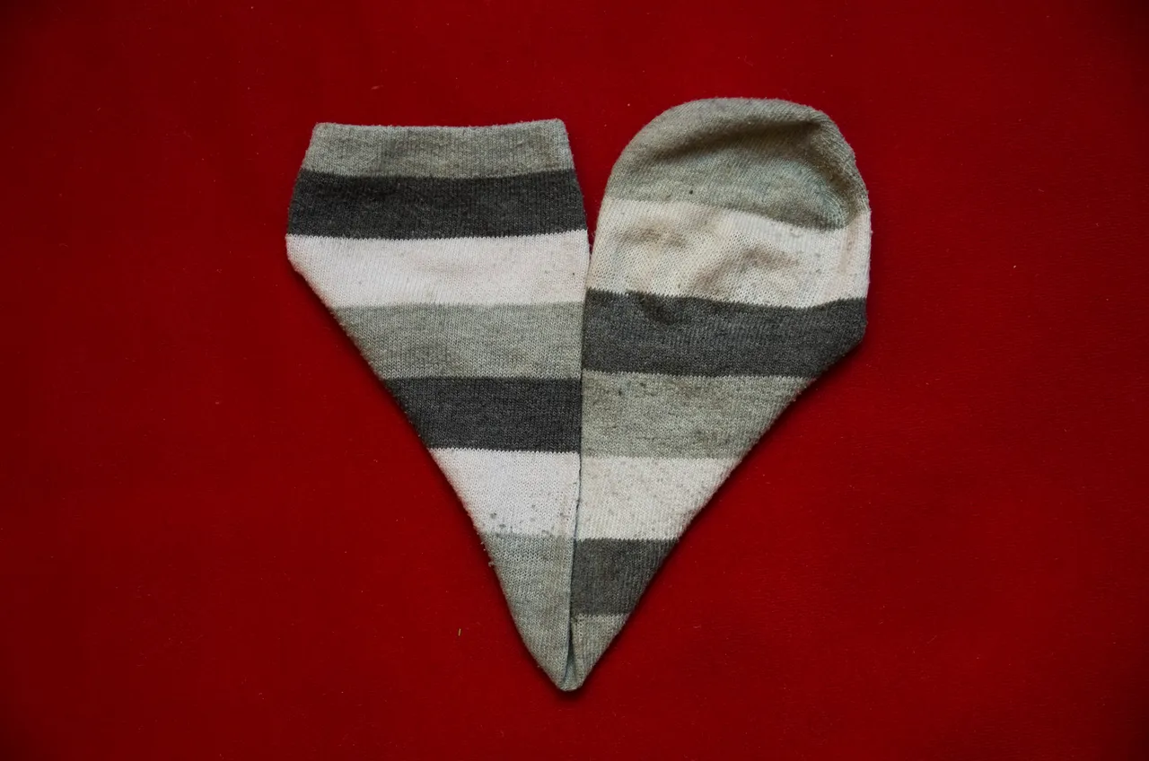 IMGP2552c.jpg