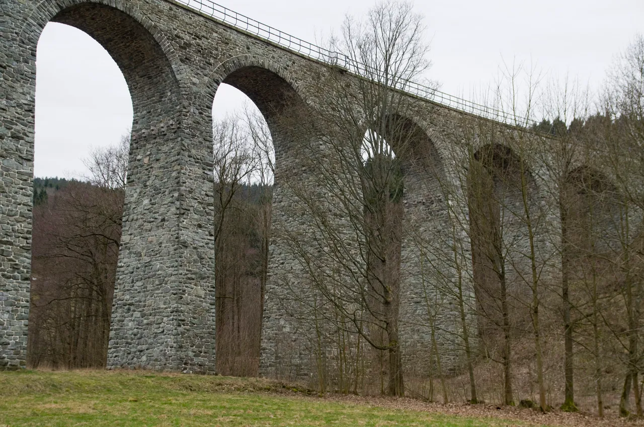 IMGP2303c.jpg