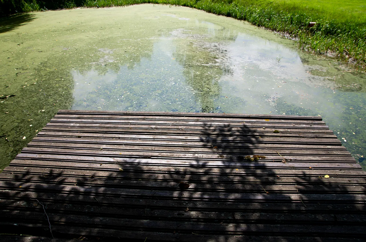 IMGP3877c.jpg