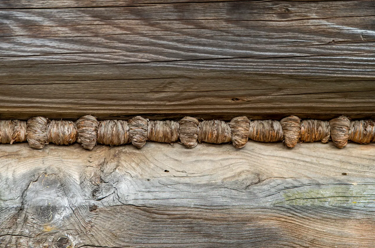 IMGP4091c.jpg