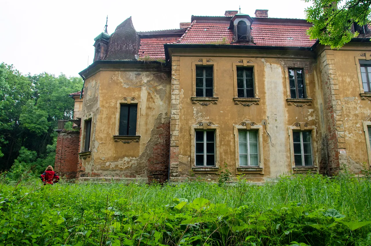 IMGP3722c.jpg