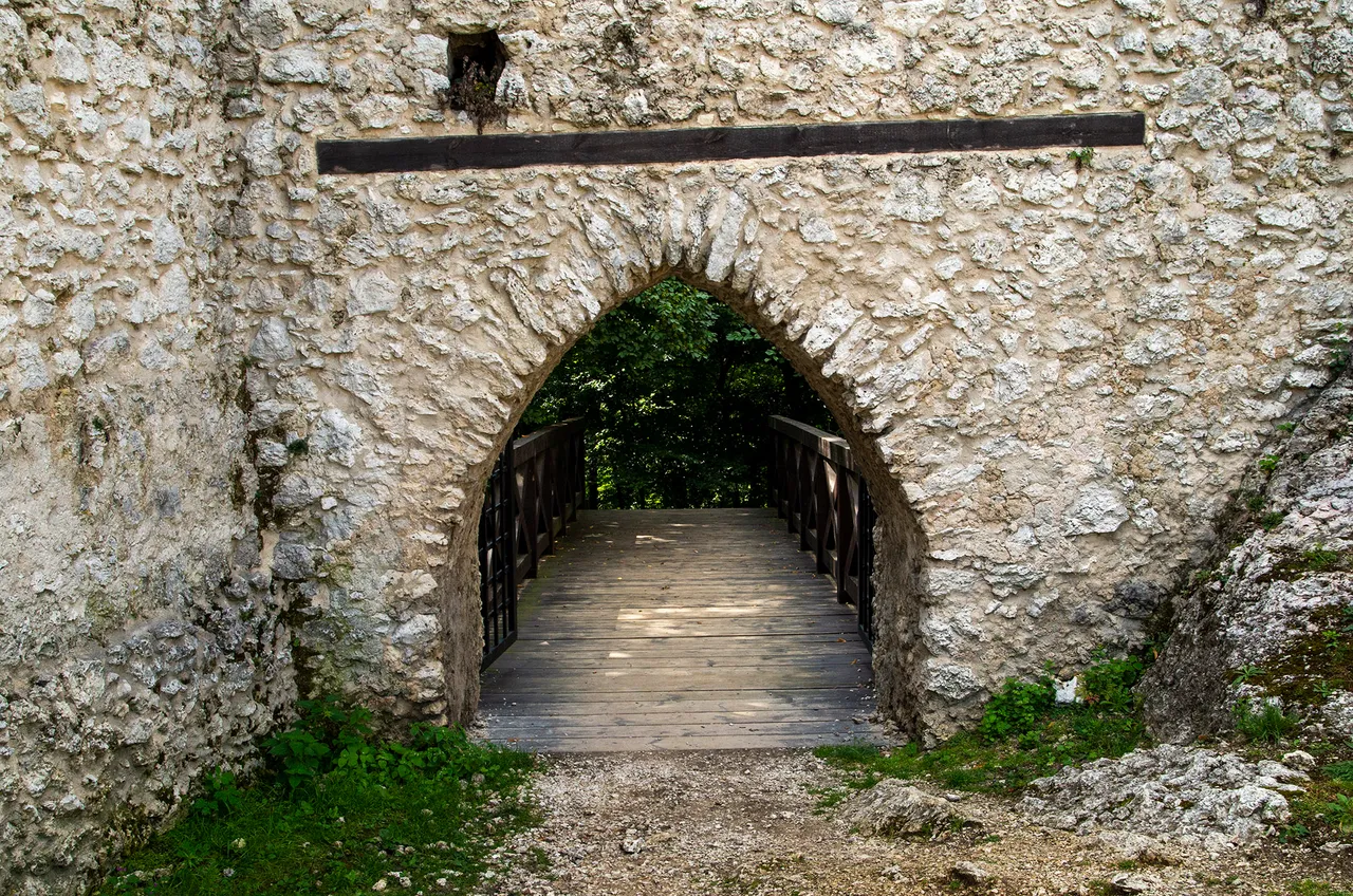 IMGP5405c.jpg