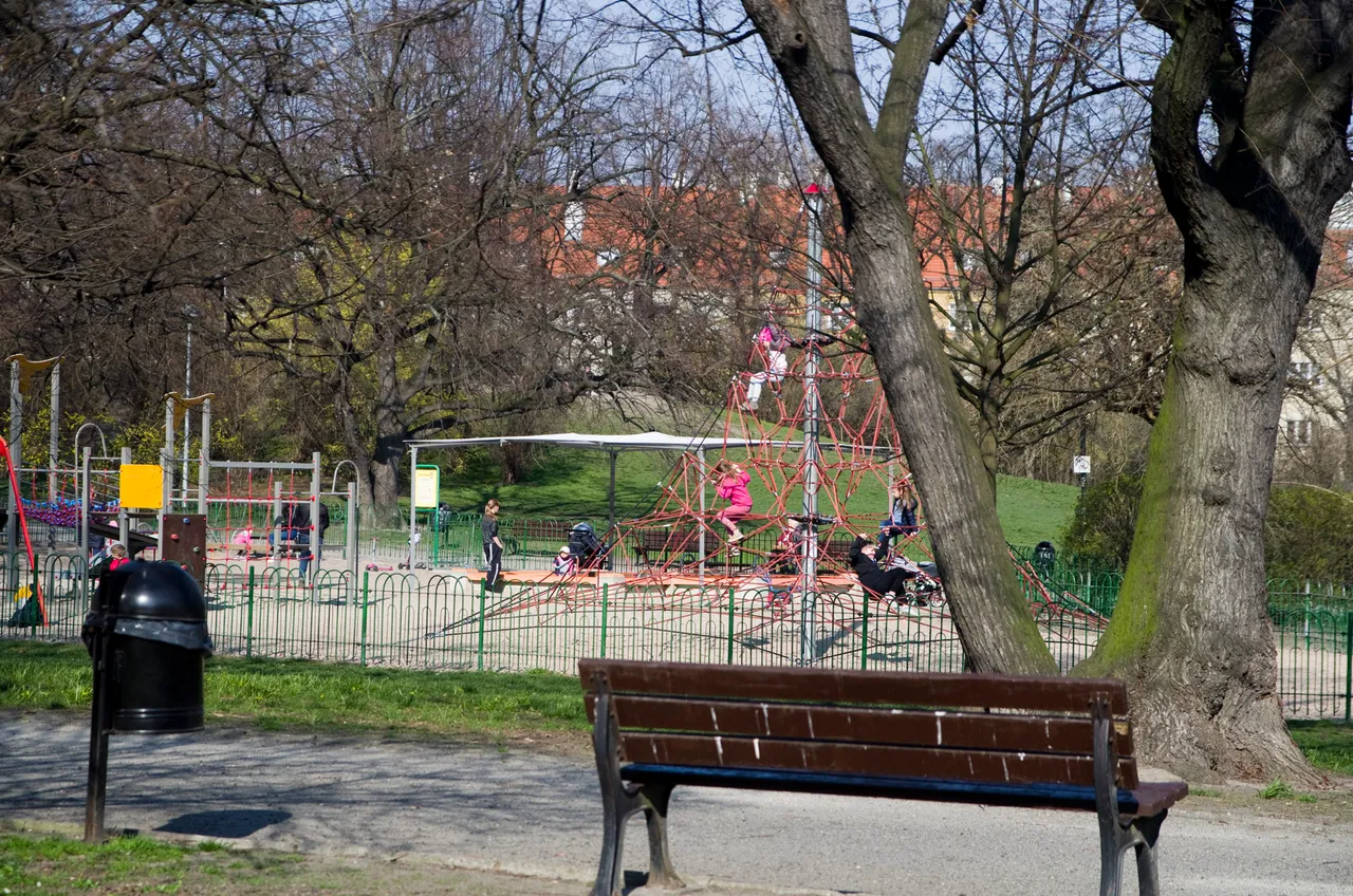 IMGP2513c.jpg