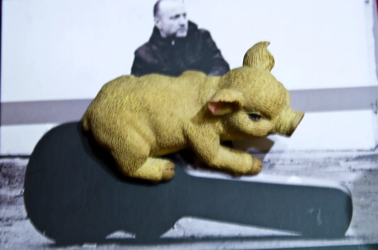 IMGP2398c.jpg