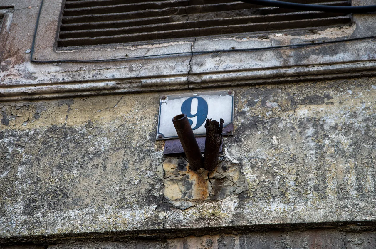 IMGP5146c.jpg