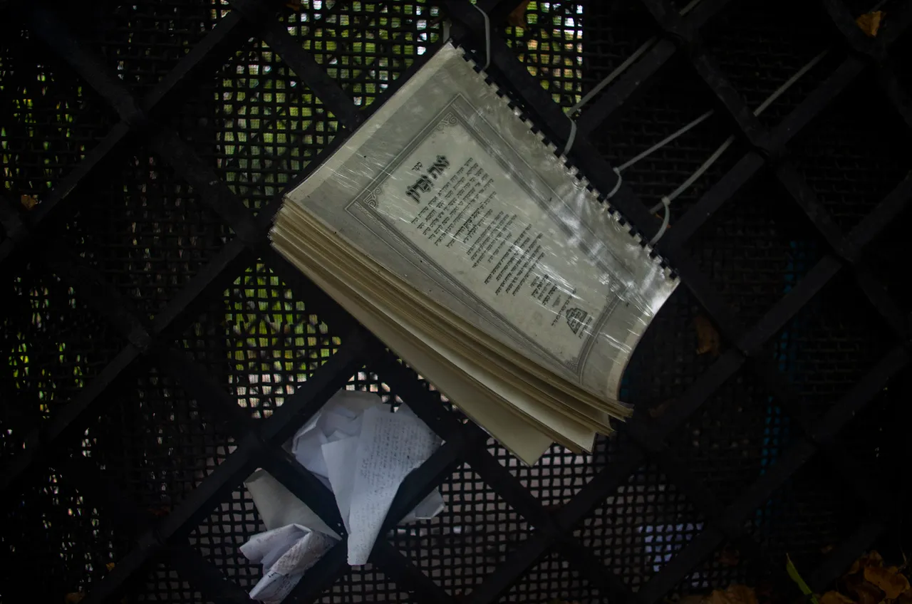 IMGP6306c.jpg