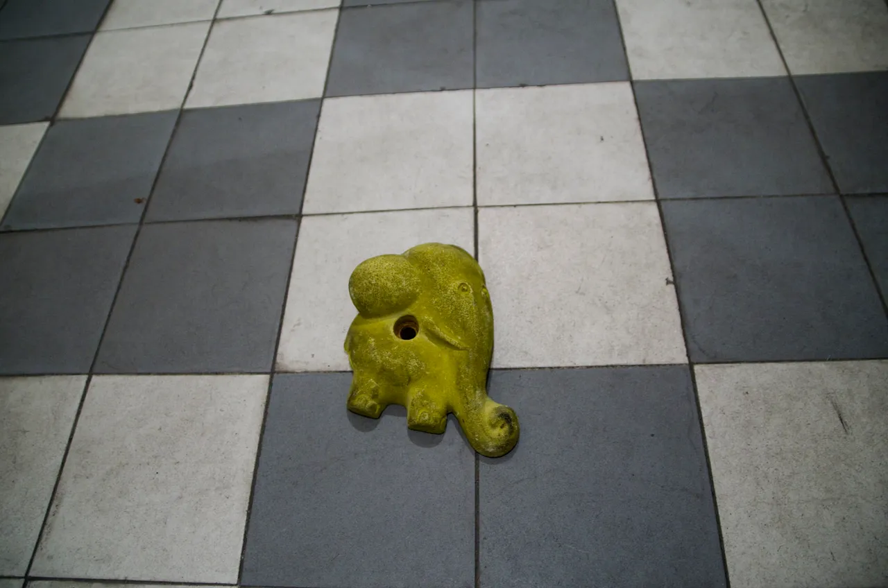 IMGP2420c.jpg