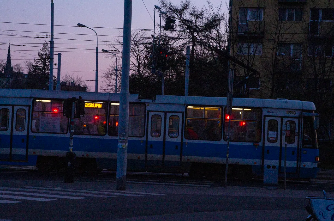 IMGP2595c.jpg
