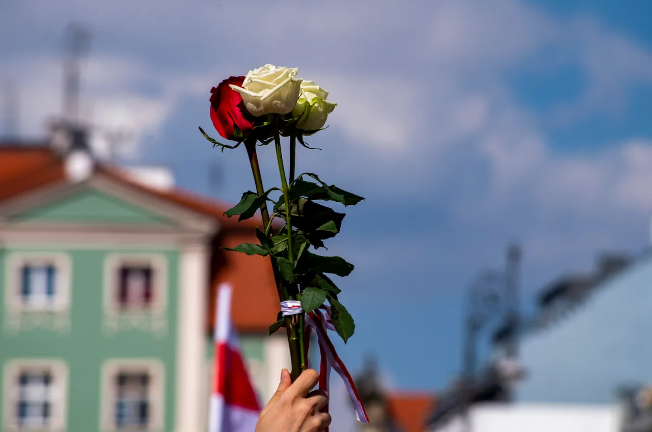 IMGP5309c.jpg
