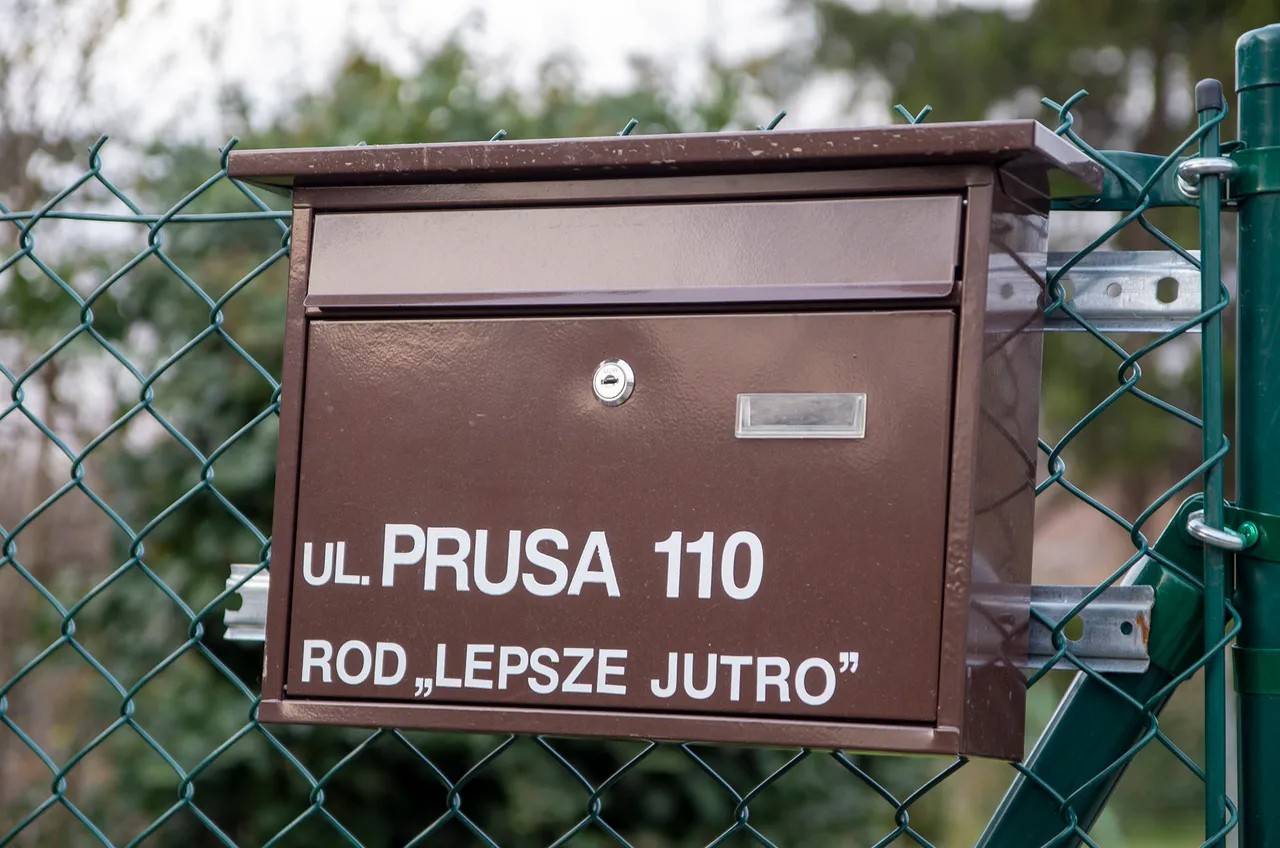 IMGP2667c.jpg