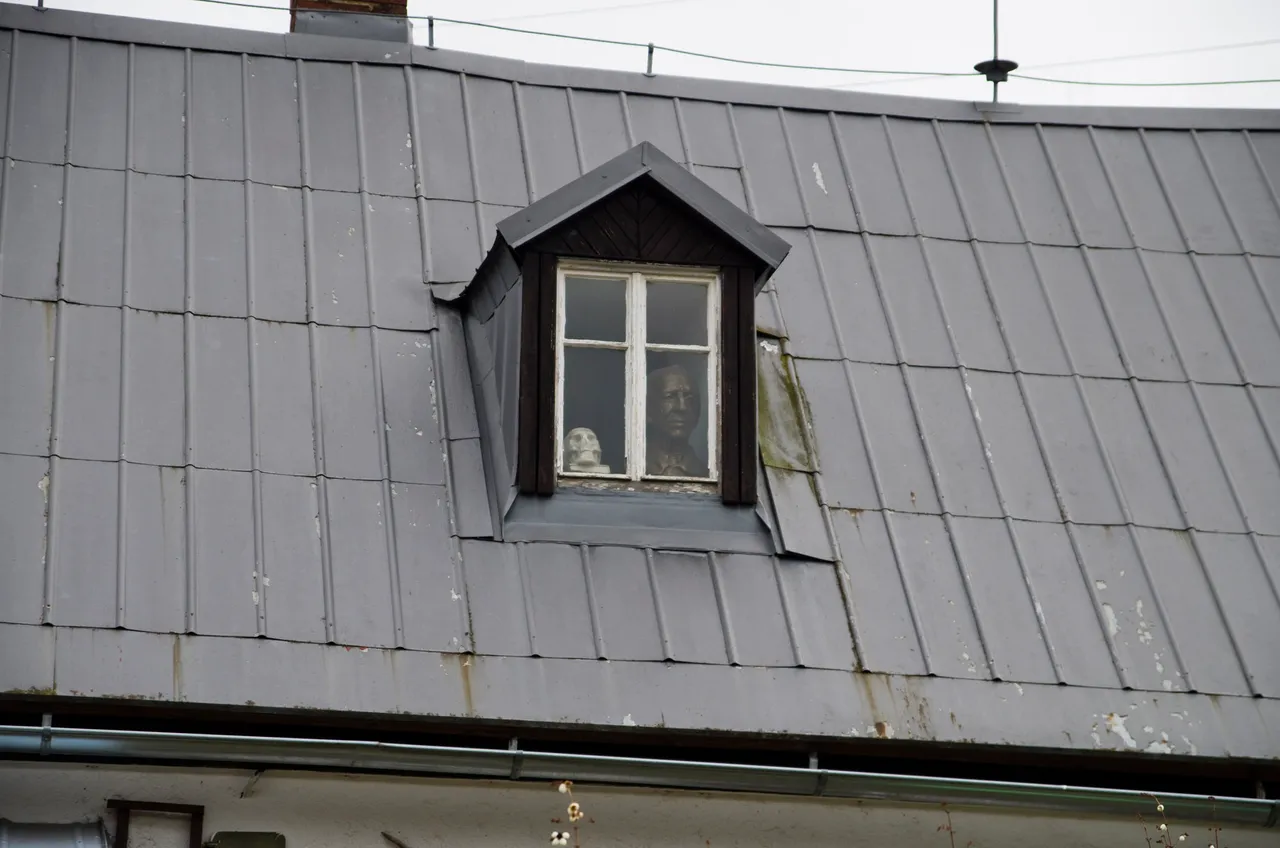 IMGP2291c.jpg