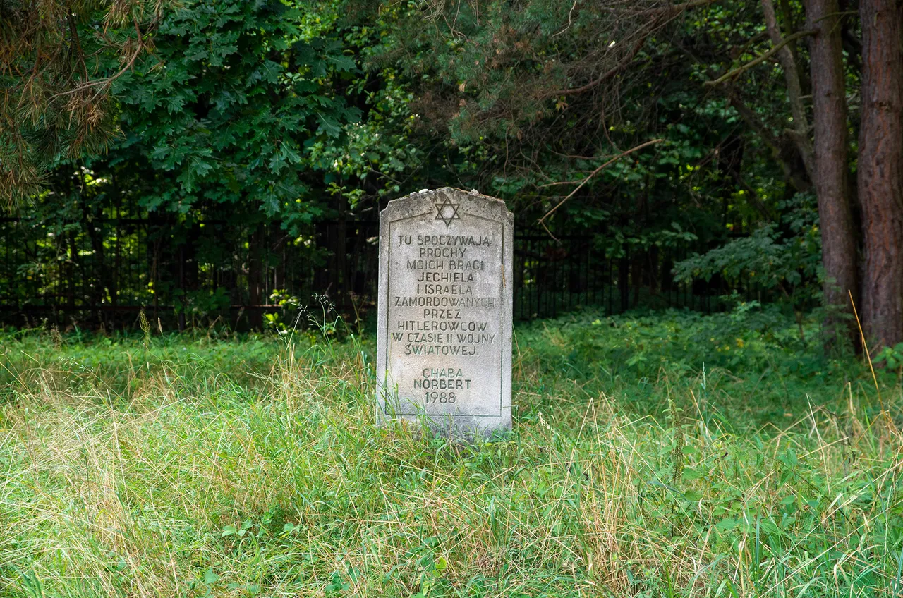 IMGP5437c.jpg