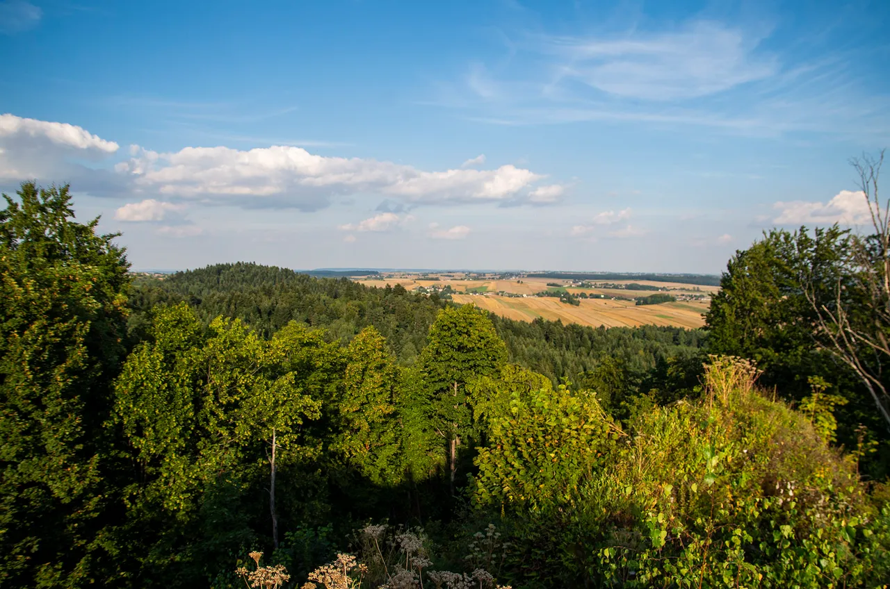 IMGP5444c.jpg