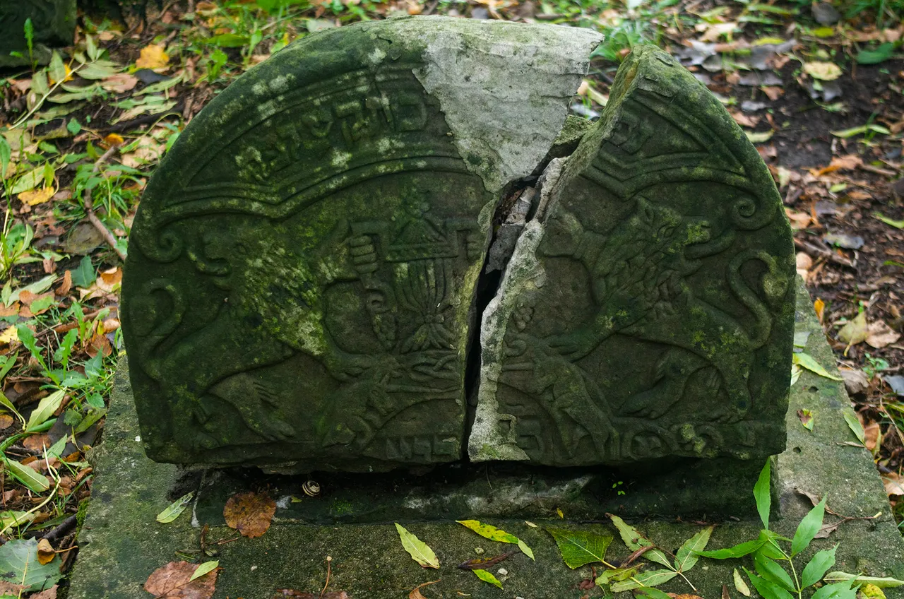 IMGP6307c.jpg