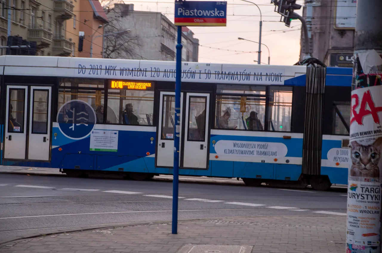 IMGP2684c.jpg