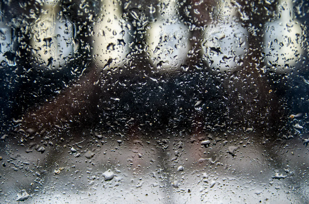 IMGP4193c.jpg