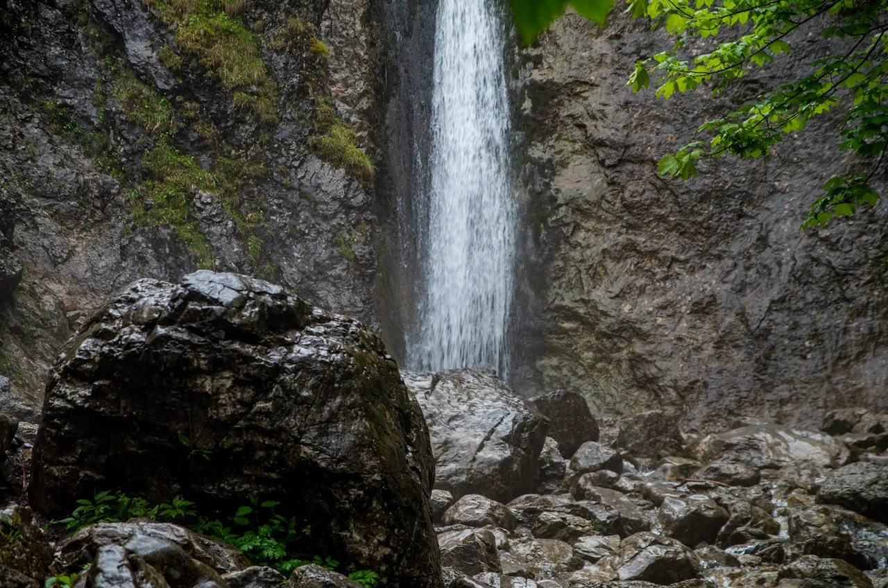 IMGP4079c.jpg