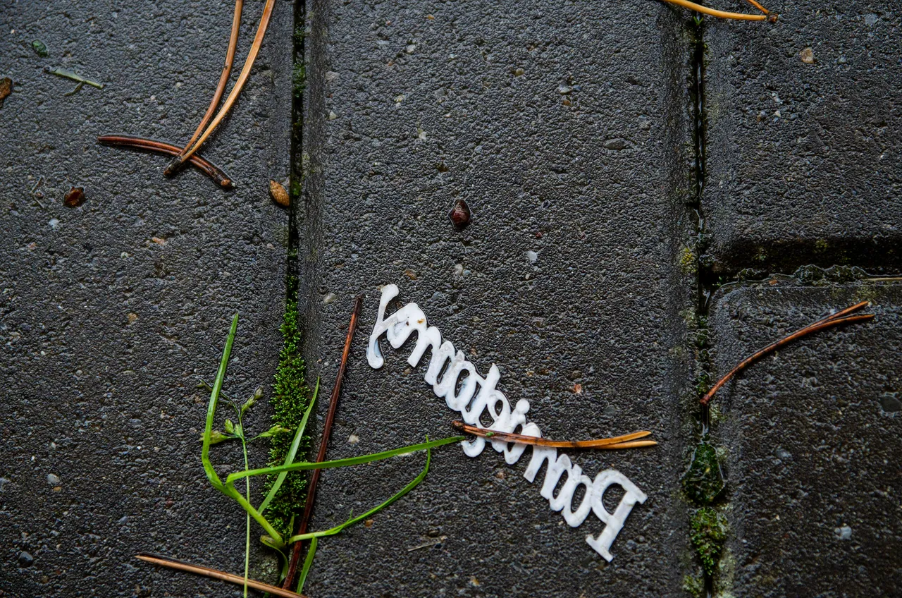 IMGP4107c.jpg