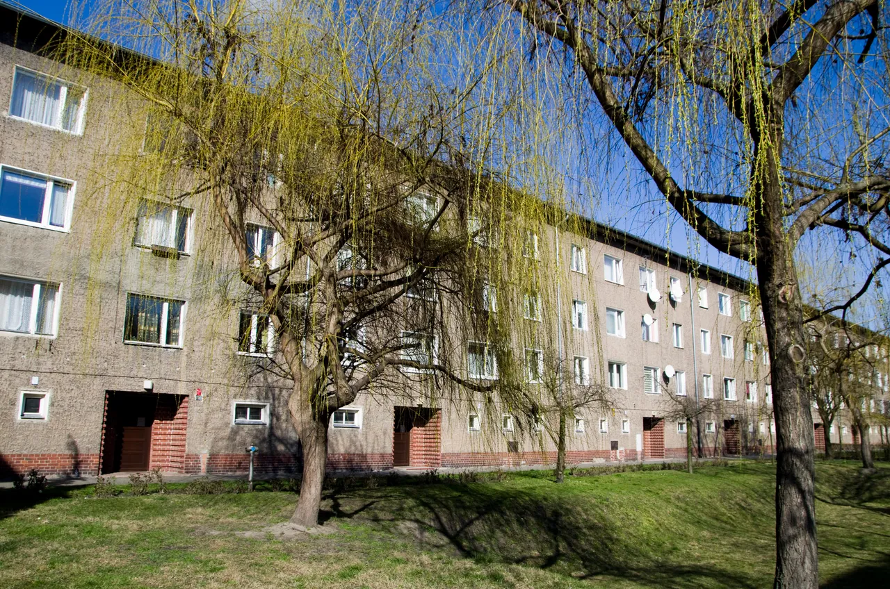 IMGP2488c.jpg