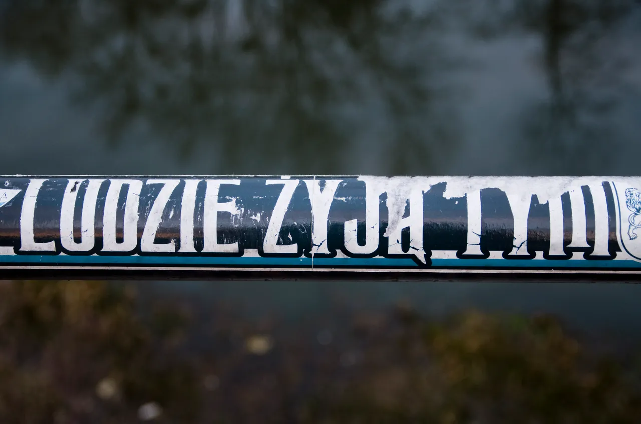 IMGP2533c.jpg