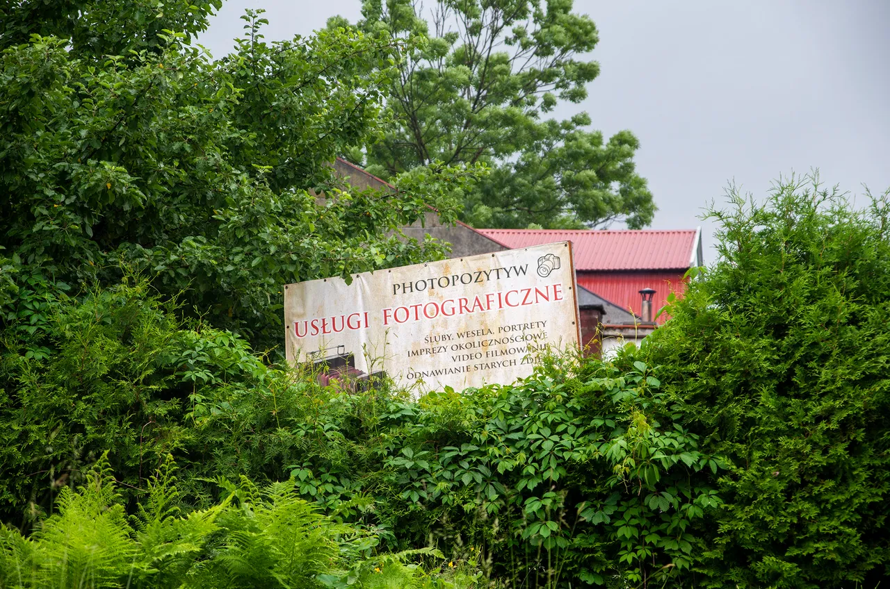 IMGP4174c.jpg
