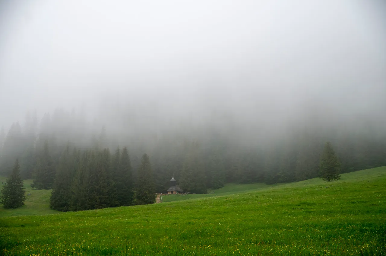 IMGP3894c.jpg