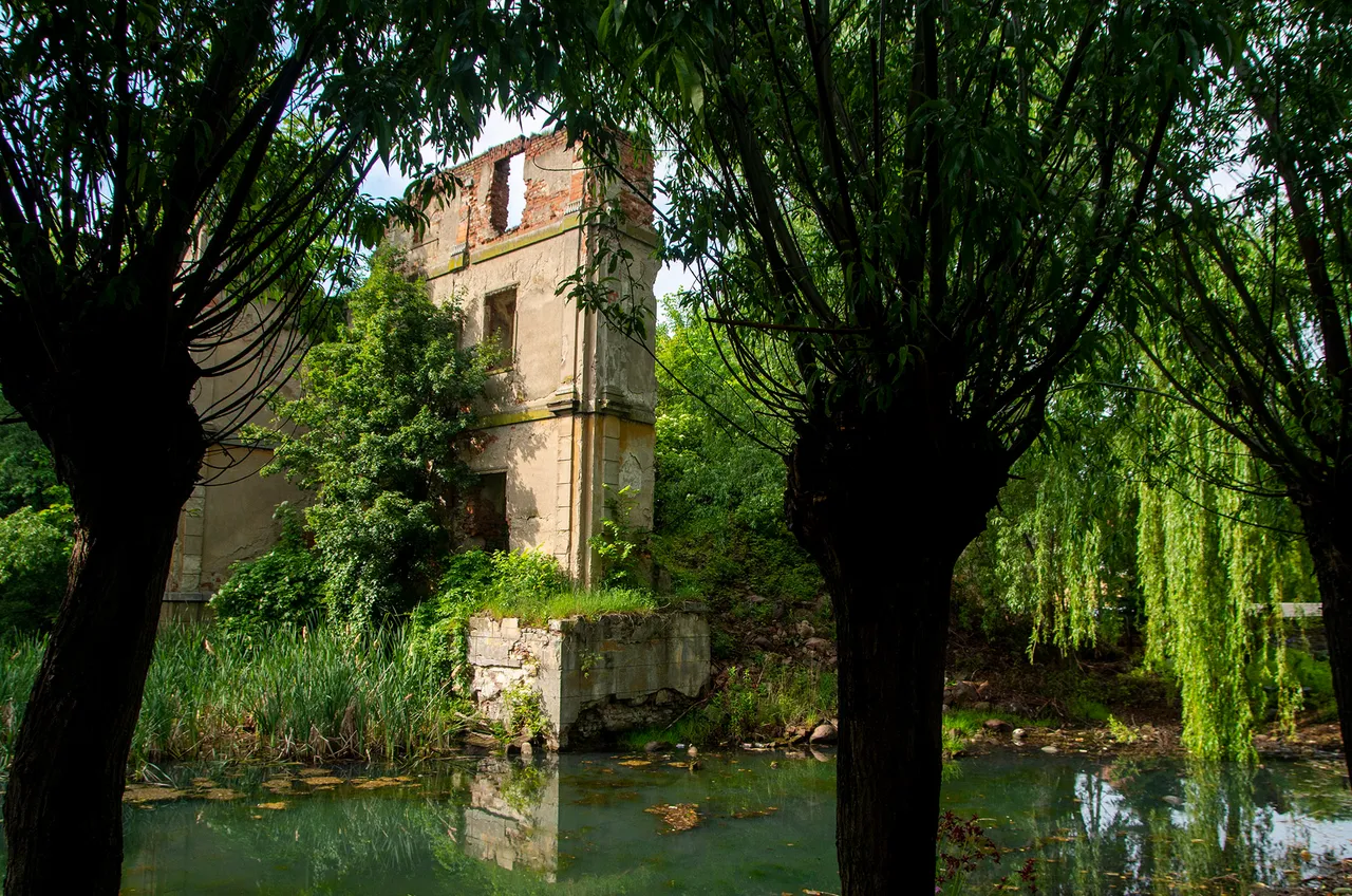 IMGP3779c.jpg