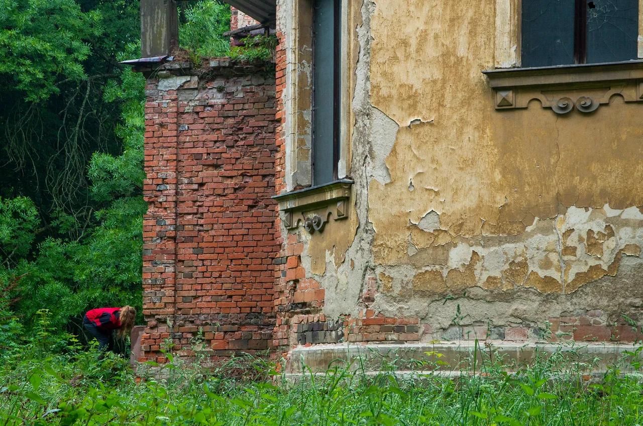 IMGP3725c.jpg