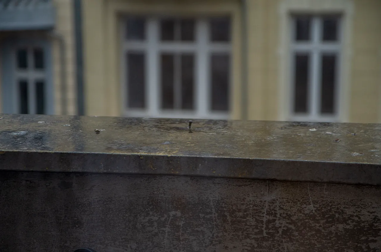 IMGP2691c.jpg