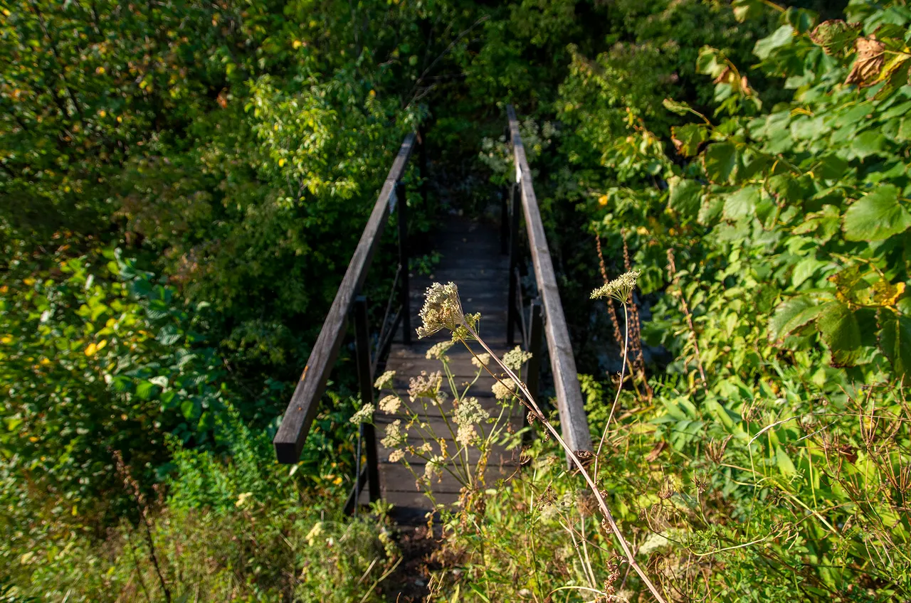 IMGP5447c.jpg