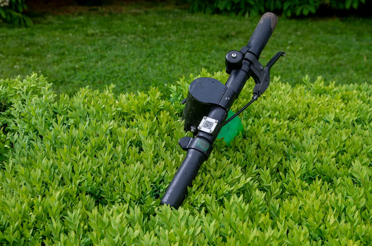 IMGP3103c.jpg