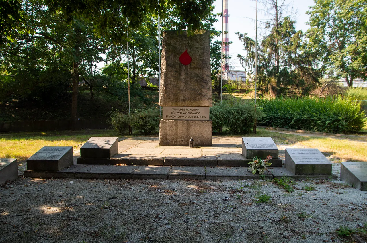 IMGP5142c.jpg