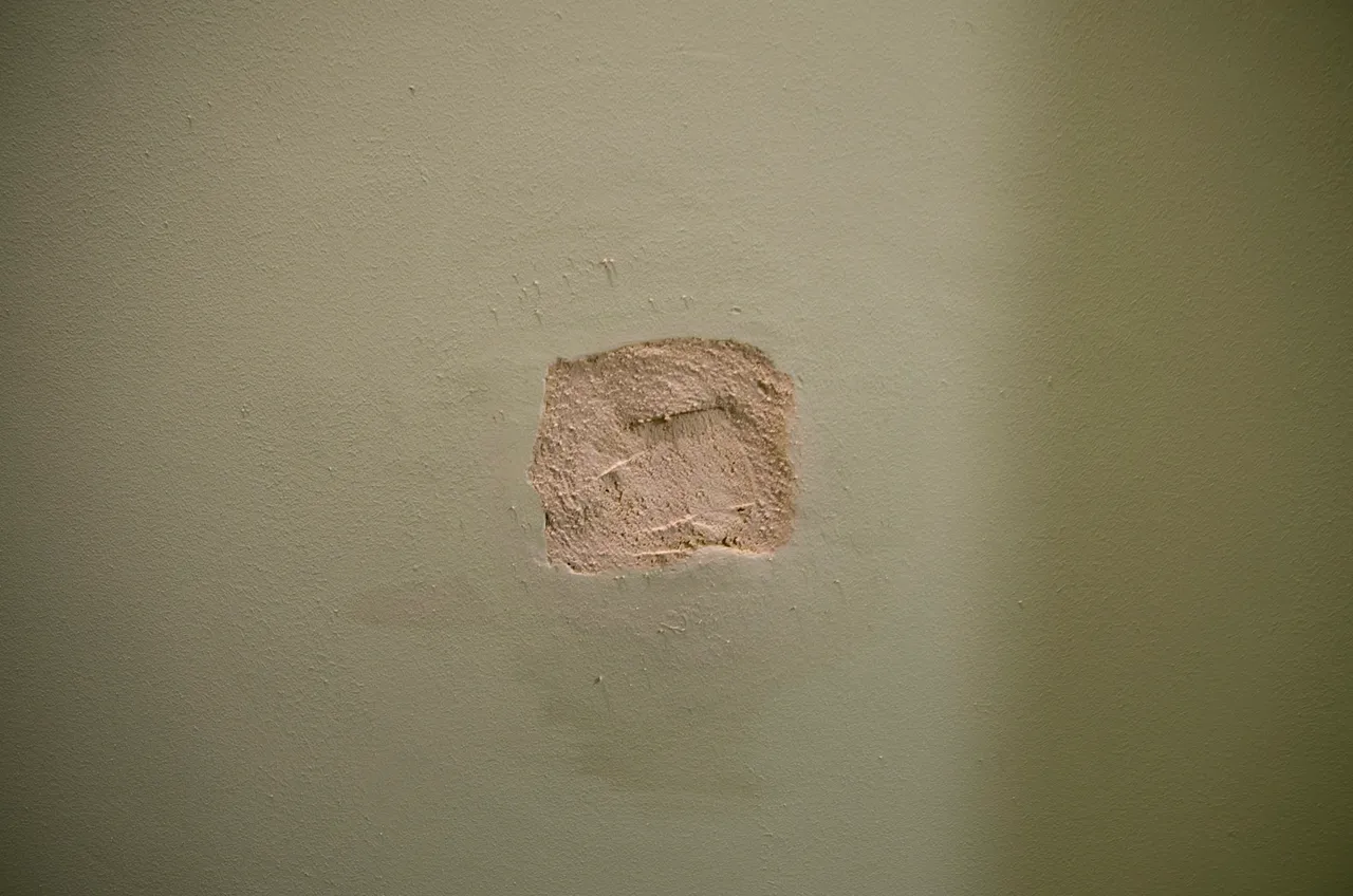 IMGP2556c.jpg