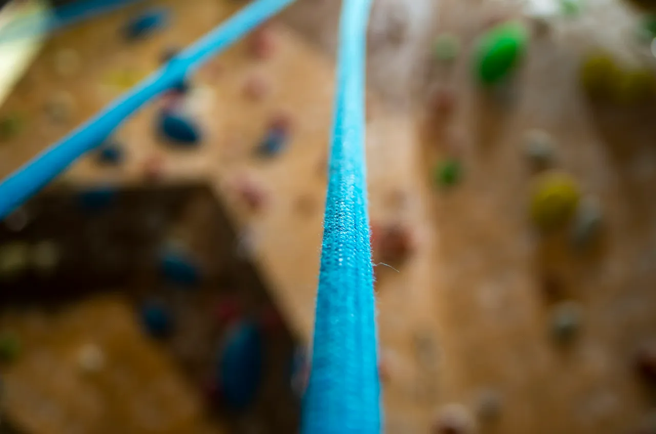 IMGP5275c.jpg
