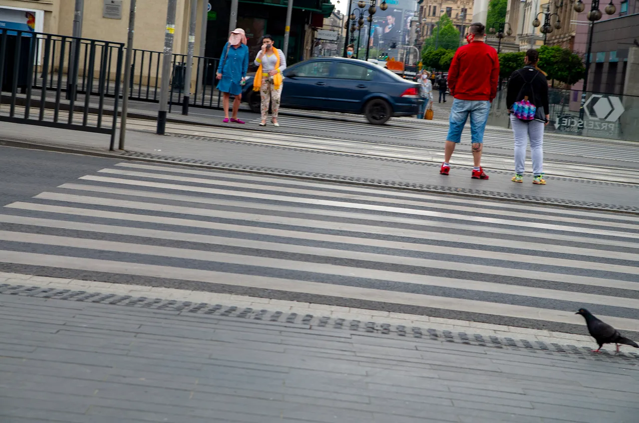 IMGP3102c.jpg