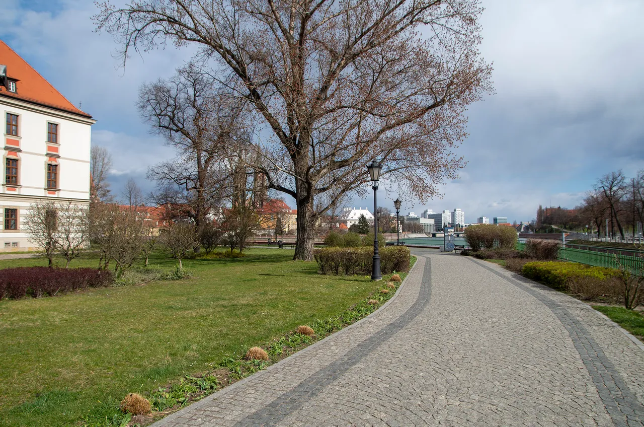 IMGP2746c.jpg