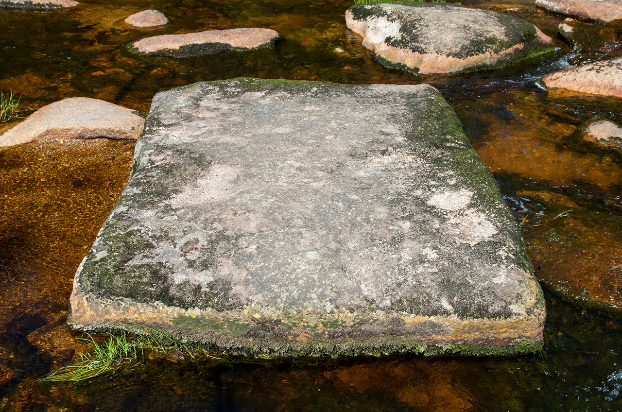 IMGP4917c.jpg