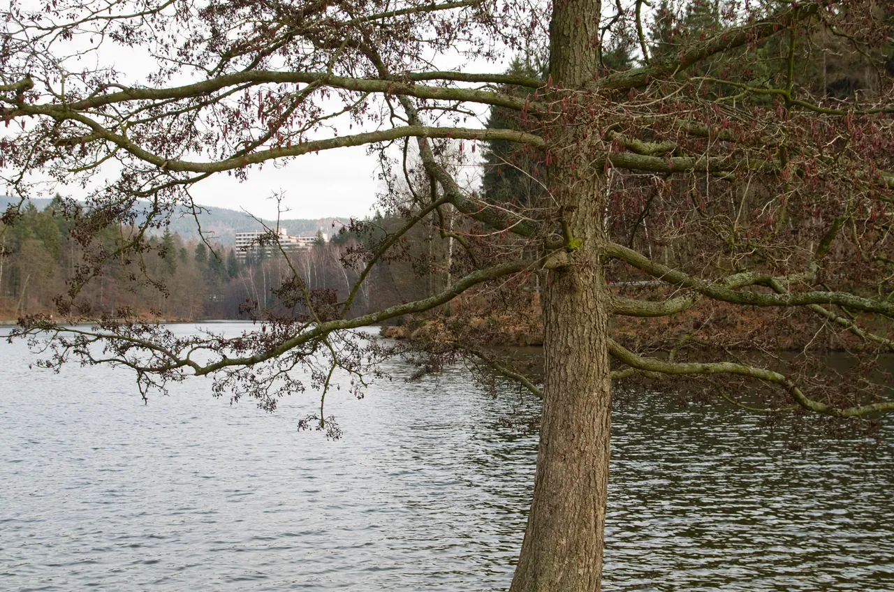 IMGP2245c.jpg
