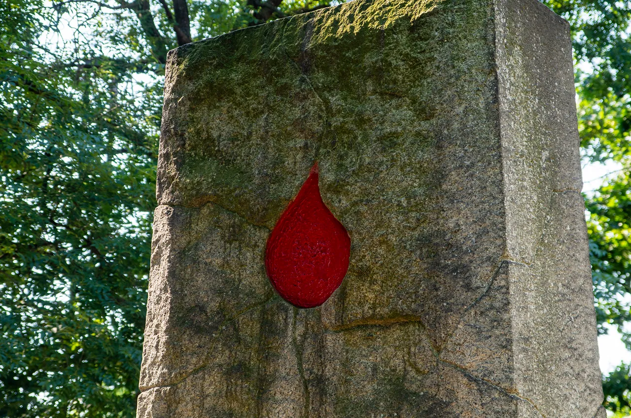 IMGP5141c.jpg